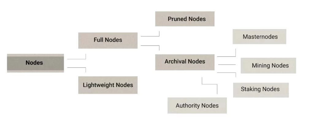 Các loại node trong blockchain
