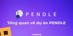 Pendle là gì ? Tổng quan về dự án PENDLE trong 10 phút